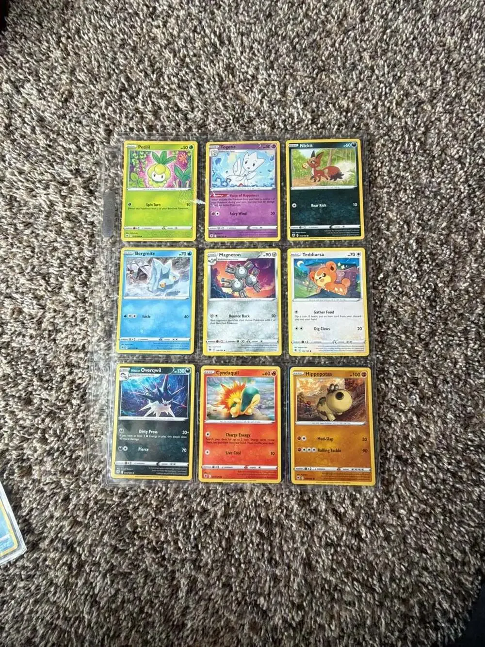 Assorted Pokemon Trading Card Game Collection in 9-Pocket Binder Page
